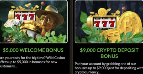 Screenshot 21 Screenshot 21