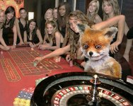 Post 36117 0 24407000 1385164826