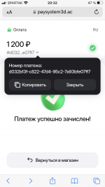IMG_3292.png