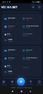 Screenshot_2024-09-19-20-11-37-904_com.yandex.browser.jpg