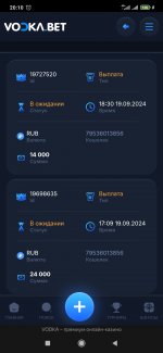 Screenshot_2024-09-19-20-10-14-295_com.yandex.browser.jpg