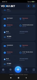 Screenshot_2024-09-19-20-10-33-884_com.yandex.browser.jpg