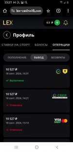 Screenshot_20240920-231734_Chrome.jpg
