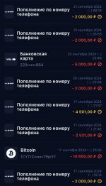 Screenshot 20240921 131814 Screenshot 20240921 131814