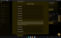 Screenshot_20240924_133904_Chrome.jpg