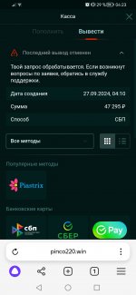 Screenshot_20240927_042340_com.yandex.browser.jpg