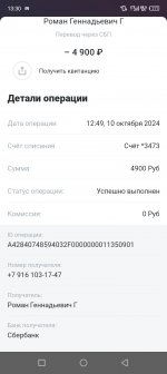 Screenshot 20241010 133003