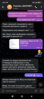 Screenshot_2024-10-28-18-41-00-158_org.telegram.messenger.jpg