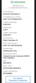 Screenshot_20241117-212841.jpg