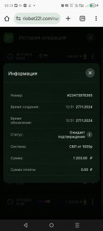 Screenshot_20241128-031556.jpg