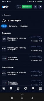 Screenshot_2024-12-04-13-13-40-201_com.yandex.browser.jpg