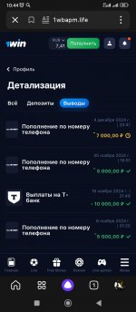 Screenshot_2024-12-08-10-44-09-958_ru.yandex.searchplugin.jpg