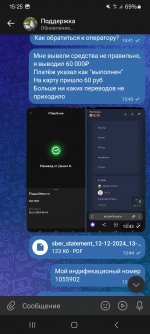 Screenshot_20241212_152537_VK.jpg