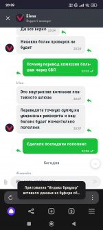 Screenshot_2024-12-25-20-39-11-021_com.yandex.browser.jpg