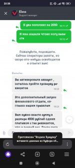Screenshot_2024-12-25-20-36-53-681_com.yandex.browser.jpg