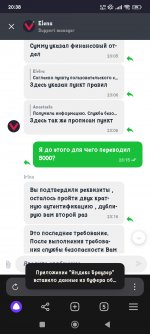 Screenshot_2024-12-25-20-38-49-669_com.yandex.browser.jpg