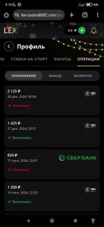 Screenshot_2024-12-28-00-15-30-102_com.android.chrome.jpg