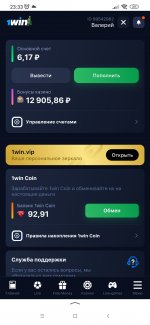 Screenshot_2024-12-28-23-33-59-718_ru.yandex.searchplugin.jpg