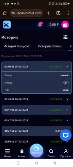 Screenshot_20241228-152853.jpg
