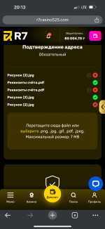 IMG_3833.png