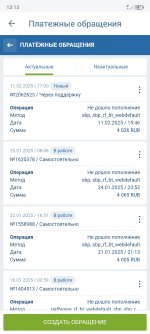 Screenshot_20250212_131351.jpg