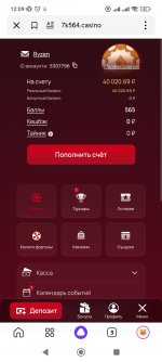 Screenshot_2025-02-18-12-09-37-120_ru.yandex.searchplugin.jpg