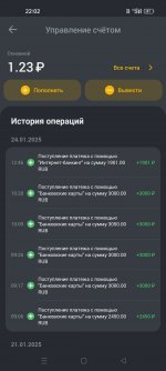Screenshot_2025-02-18-22-02-30-48_998d6d9bb77bbf8111d711b0f131dbb6.jpg