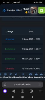 Screenshot_2025-02-18-18-47-02-407_com.yandex.browser.jpg
