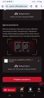 Screenshot_20250219_080545_Chrome.jpg