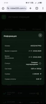 Screenshot_20250223_212201_com_android_chrome_ChromeTabbedActivity.jpg