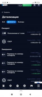 Screenshot_2025-03-03-21-23-39-611_ru.yandex.searchplugin.jpg