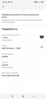 Screenshot_2025-03-04-20-06-08-536_ru.sberbankmobile.jpg