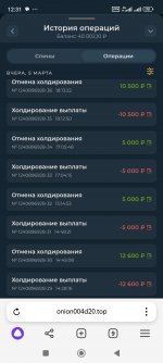 Screenshot_2025-03-06-12-31-50-146_com.yandex.browser.jpg