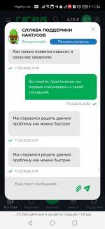 Screenshot_20250317_113403_com.yandex.browser.jpg