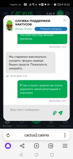 Screenshot_20250318_103353_com.yandex.browser.jpg