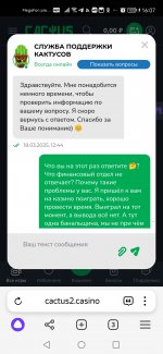 Screenshot_20250318_160755_com.yandex.browser.jpg