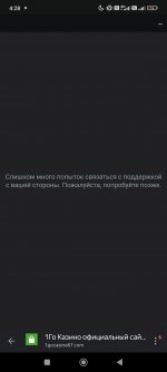 Screenshot_2025-03-21-04-28-17-267_com.yandex.browser.jpg