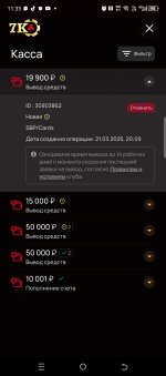 Screenshot_20250325-113313.jpg