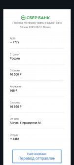 Screenshot_20250516-171203.jpg