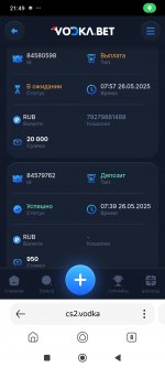 Screenshot_2025-05-26-21-49-14-613_com.yandex.searchapp.jpg