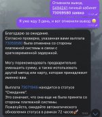 IMG_0606.jpeg