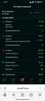 Screenshot_20250613-113751.png