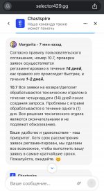 IMG_3095.jpeg