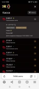 Screenshot_20250731-123348.jpg