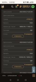 Screenshot_20250804_133926_com_android_chrome_ChromeTabbedActivity.jpg
