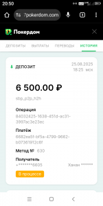 Screenshot_20250825-205034.png