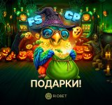 1000131385 1000131385