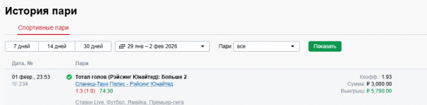 отчет спаниш рейсинг.png