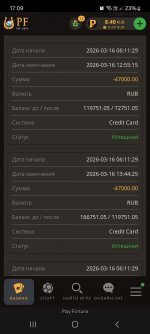 Screenshot_20260318_170924_Yandex Browser.jpg