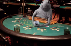 1693576897556 1693576897556